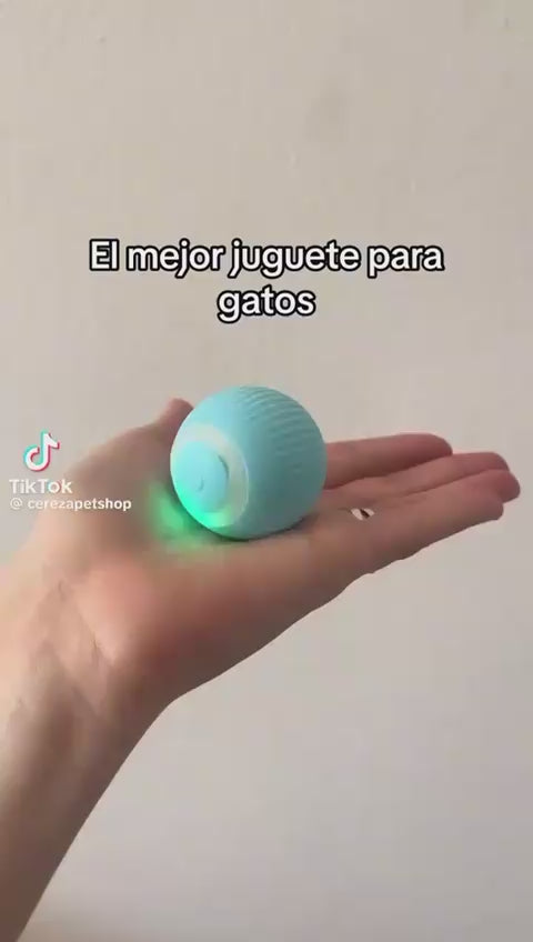Cargar video: 